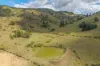 163 Splitters Creek Road, Hazeldean, Qld 4515-Image