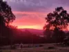 164 Hartz Road, Iredale, Qld 4344-Image