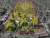 169 Lamington National Park Road, Canungra, Qld 4275-Image