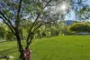 169 Lamington National Park Road, Canungra, Qld 4275-Image