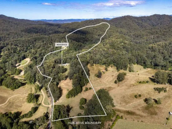 1690 Bowraville Road, Bellingen, NSW 2454