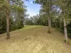 1690 Bowraville Road, Bellingen, NSW 2454-Image