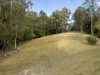1690 Bowraville Road, Bellingen, NSW 2454-Image