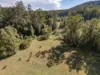 1690 Bowraville Road, Bellingen, NSW 2454-Image