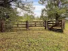 1690 Bowraville Road, Bellingen, NSW 2454-Image