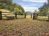 1690 Bowraville Road, Bellingen, NSW 2454-Image