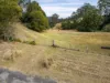 1690 Bowraville Road, Bellingen, NSW 2454-Image