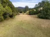 1690 Bowraville Road, Bellingen, NSW 2454-Image