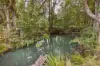 1690 Bowraville Road, Bellingen, NSW 2454-Image