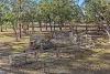 17 Bournes Road, Yangan, Qld 4371-Image