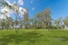 17 Bowden Road, Black River, Qld 4818-Image