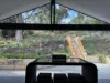 17 Figtree Lane, Golden Bay, WA 6174-Image