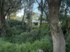 17 Figtree Lane, Golden Bay, WA 6174-Image