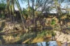 17 Gibson Road, Rosenthal Heights, Qld 4370-Image