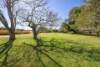 17 Glenrowan Road, Young, NSW 2594-Image