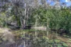 17 Madison Way, Tinana, Qld 4650-Image