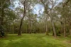 17 Marlock Court, Doonan, Qld 4562-Image