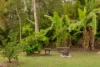 17 Marlock Court, Doonan, Qld 4562-Image