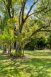 170 Pikes Road, Glass House Mountains, Qld 4518-Image