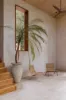 171 Billinudgel Road, Billinudgel, NSW 2483-Image