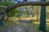 172 Johnstons Road, Barjarg, Vic 3723-Image