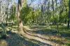 172 Johnstons Road, Barjarg, Vic 3723-Image