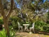 173 Bethany Road, Bethany, SA 5352-Image