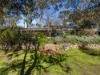 173 Bethany Road, Bethany, SA 5352-Image