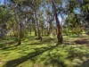 173 Bethany Road, Bethany, SA 5352-Image
