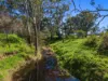 173 Bethany Road, Bethany, SA 5352-Image