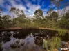 173 Carbeen Crescent, Nanango, Qld 4615-Image