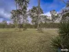 173 Carbeen Crescent, Nanango, Qld 4615-Image