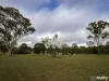 173 Carbeen Crescent, Nanango, Qld 4615-Image