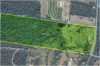 1734 Peats Ridge Road, Peats Ridge, NSW 2250-Image