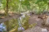 174 Koppin Yarratt Road, Upper Lansdowne, NSW 2430-Image