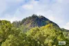 174 Koppin Yarratt Road, Upper Lansdowne, NSW 2430-Image