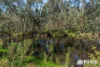 176 Burns Road, Inglewood, SA 5133-Image