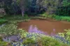 176 Nandroya Road, Cooroy, Qld 4563-Image