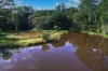 176 Nandroya Road, Cooroy, Qld 4563-Image