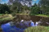 176 Nandroya Road, Cooroy, Qld 4563-Image
