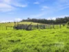 177 Banks Road, Gormandale, Vic 3873-Image