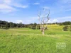 177 Banks Road, Gormandale, Vic 3873-Image