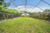 177 Djarragun Way, Wrights Creek, Qld 4869-Image