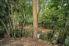 177 Djarragun Way, Wrights Creek, Qld 4869-Image