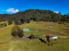 177 Little Careys Trail, Candelo, NSW 2550