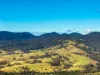 177 Little Careys Trail, Candelo, NSW 2550-Image