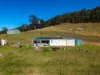 177 Little Careys Trail, Candelo, NSW 2550-Image