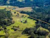 177 Little Careys Trail, Candelo, NSW 2550-Image