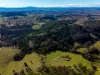 177 Little Careys Trail, Candelo, NSW 2550-Image