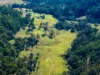 177 Little Careys Trail, Candelo, NSW 2550-Image